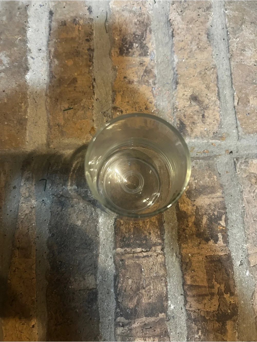 The Pussycat Clear Glass Footed wine glass